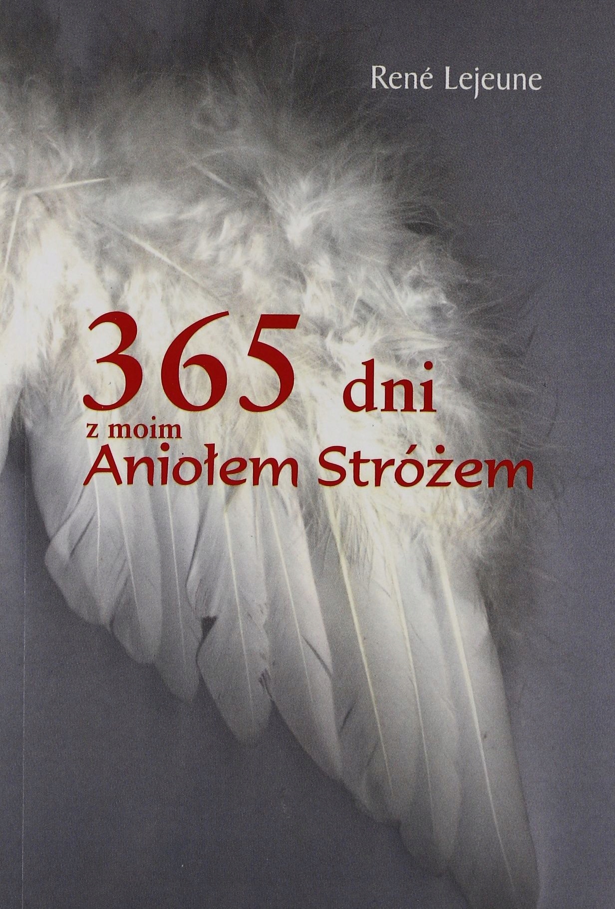 

365 Dni Z Moim Aniołem Stróżem (książka)