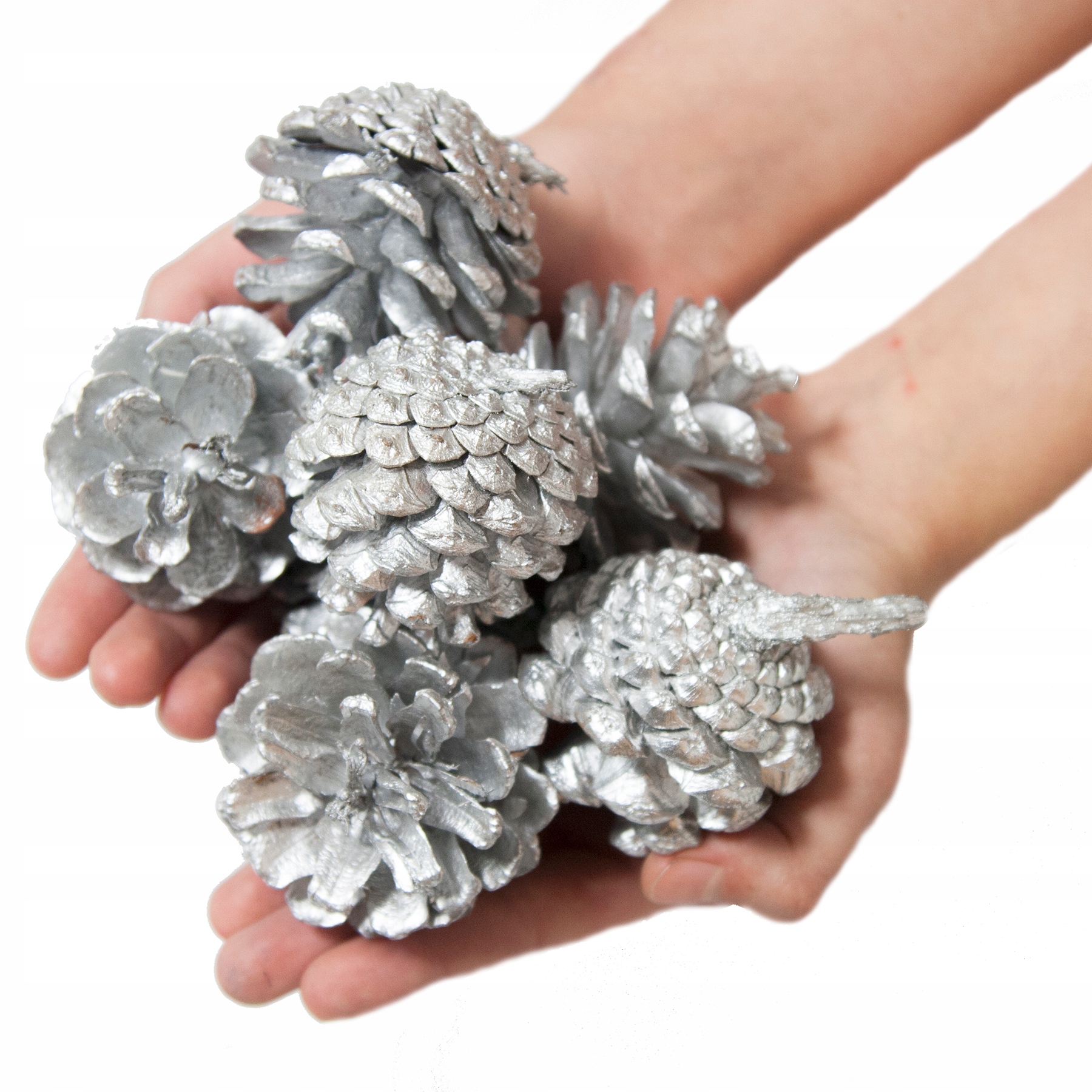 

Srebrne Szyszki dekoracyjne do stroików 7szt