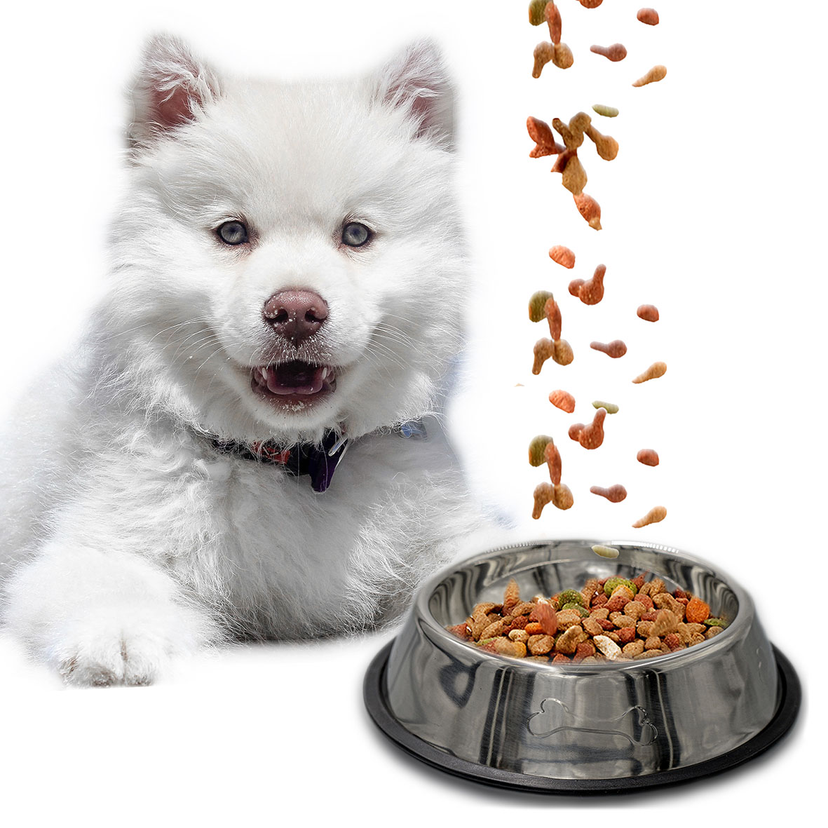 

Miska metalowa dla psa antypoślizgowa 0,9l