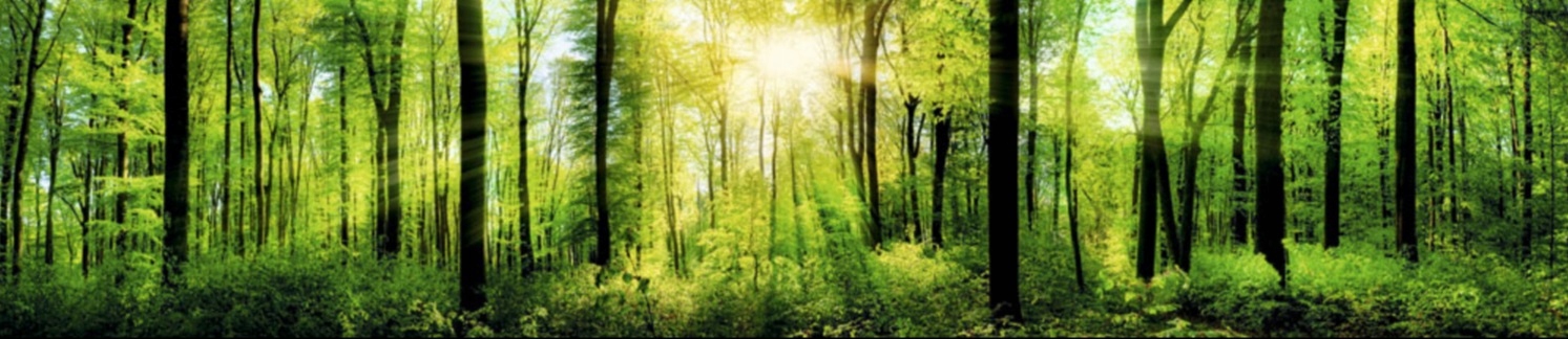 PANEL DEKORACYJNY DO KUCHNI SP 120