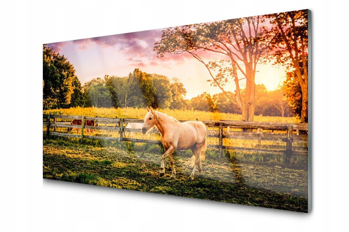 

Panel szklany dekor Koń Łąka Zwierzęta 120x60
