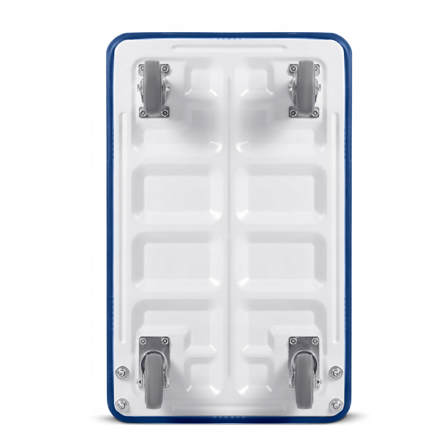 WÓZEK TRANSPORTOWY TOWAROWY PLATFORMOWY MAGAZYNOWY SKŁADANY 150kg Rodzaj wózka platformowy