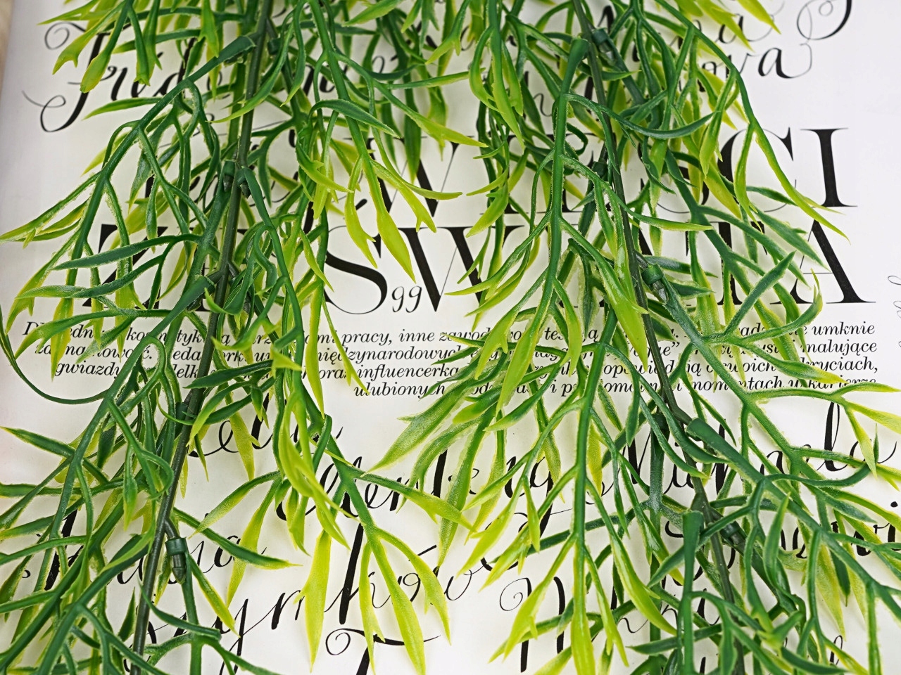 SZTUCZNA HOYA ROŚLINA ZWISAJĄCA GĘSTA 70cm WISZĄCY ASPARAGUS ZIELONY Kolor zielony