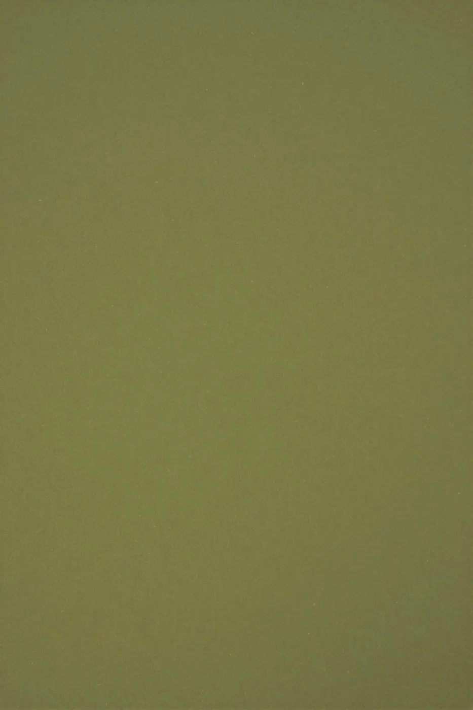 

Papier eko Circolor 160g Rosemary zielony 25A4