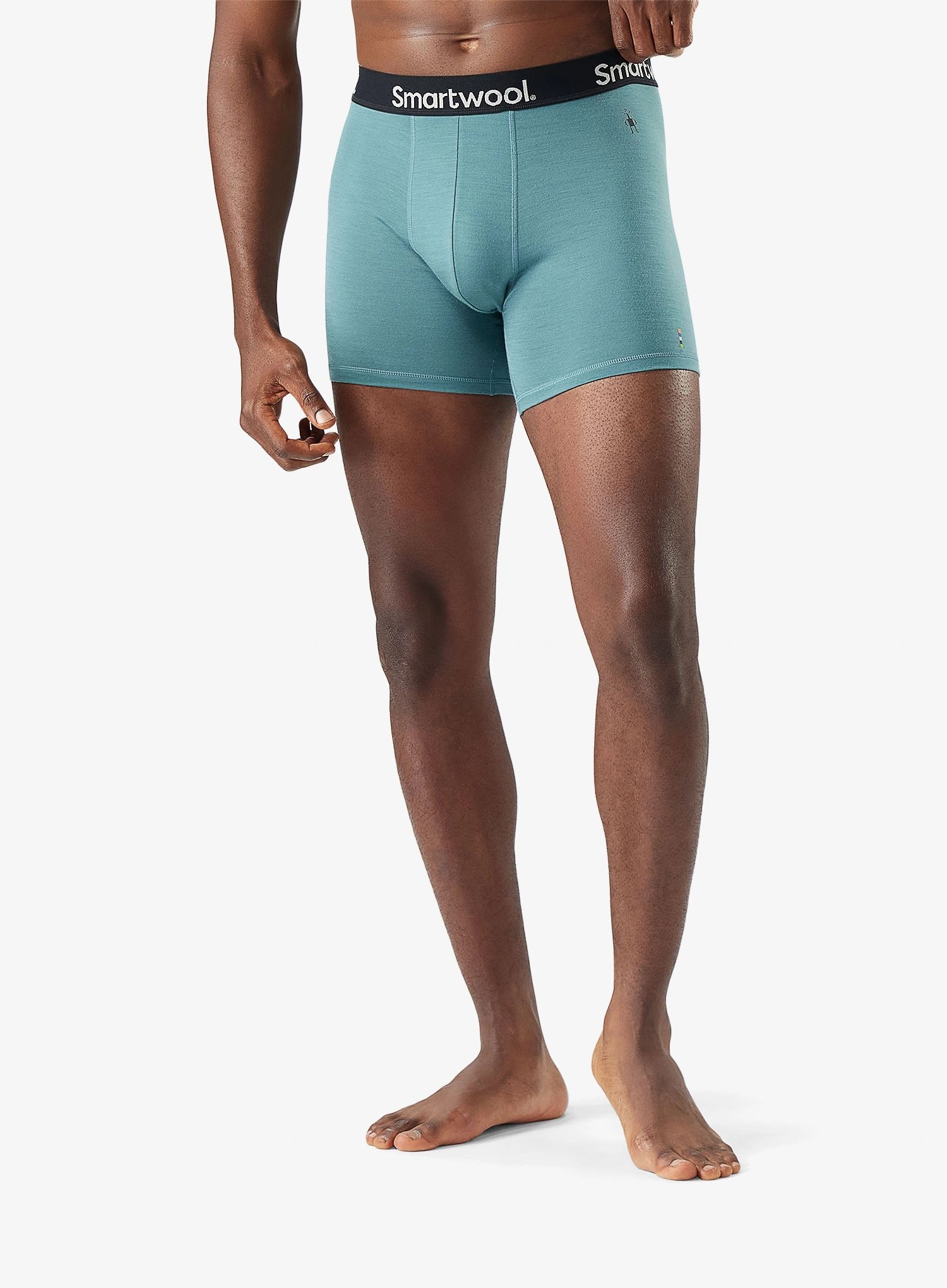 Termoaktivní boxerky Smartwool Everyday Merino Boxer Brief dusty teal XL