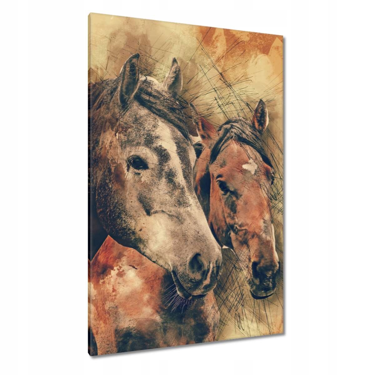Obrazy 80x120 Hlavy koní