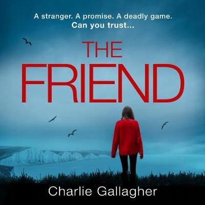 Friend - Gallagher, Charlie AUDIOBOOK