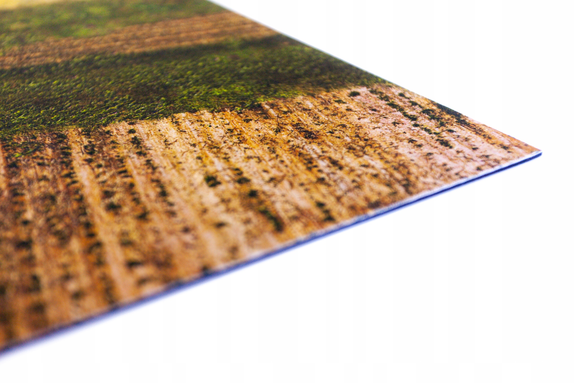 Mata Bolt Action - Pola Wojny 183x122 cm System Bolt Action