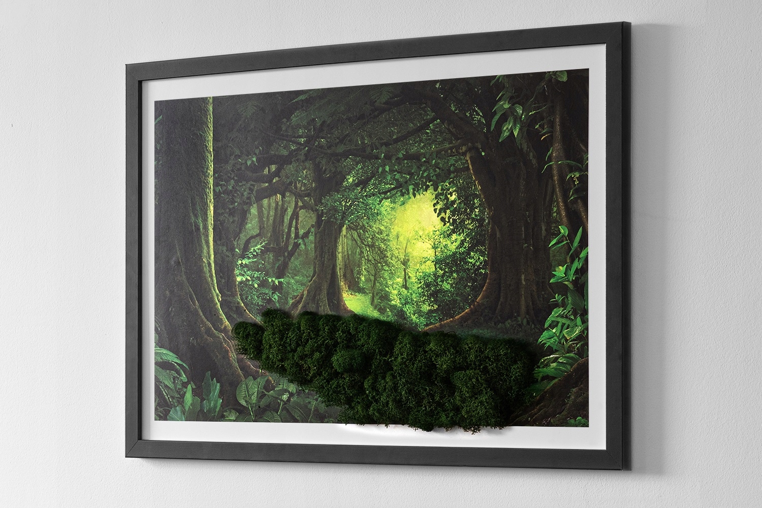 Obraz z mchem Tropikalna dżungla 60x40 Forma w ramce