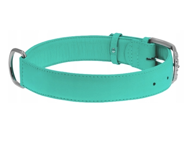 Levně Waudog Collar Obojek pro psa kožený 35MM 46-60CM Tyrkysový Silný