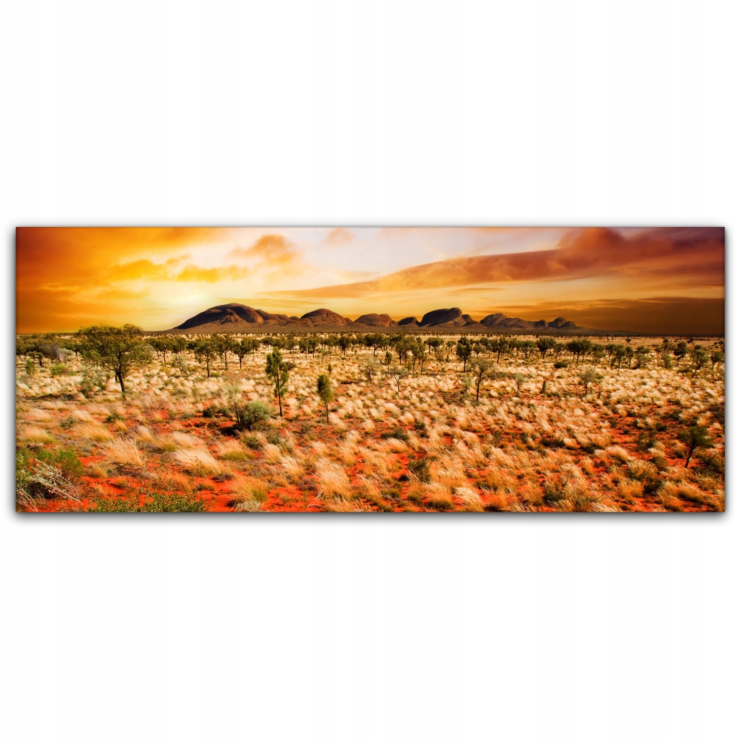 

Canvas do sypialni 125x50 Pustynia Zachód Słońca