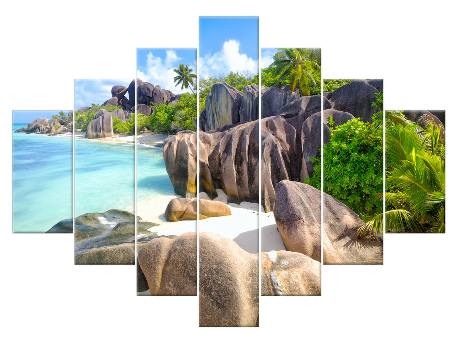 

Obraz Drzewo Wyspa La Digue 210x150 Oryginalny