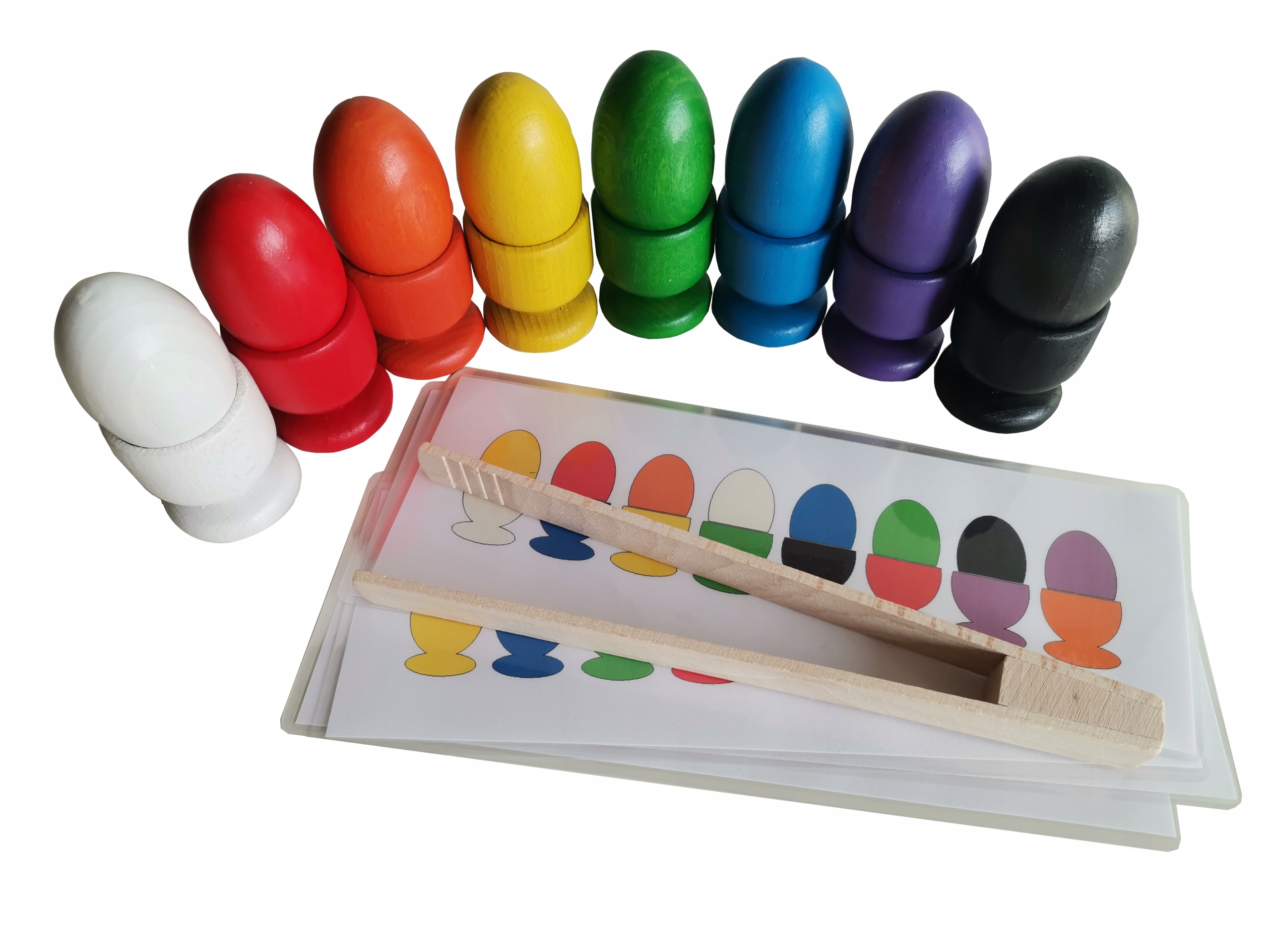 

Jajka w kieliszkach 8 schematy szczypce Montessori