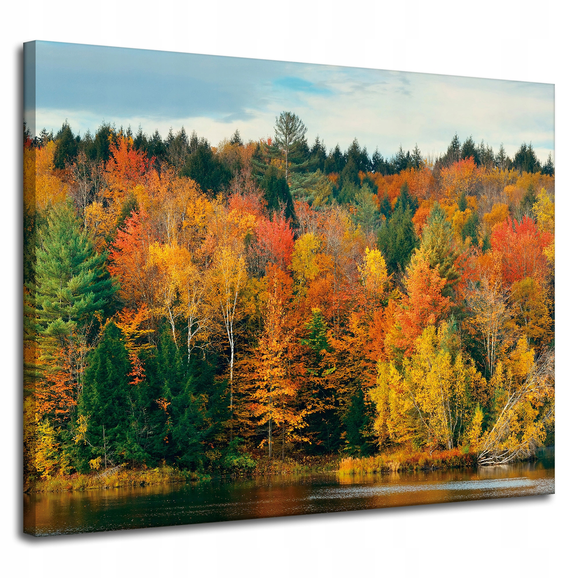 Obraz na plátně Barevné Listy Stromy Podzim Příroda 100x80 cm
