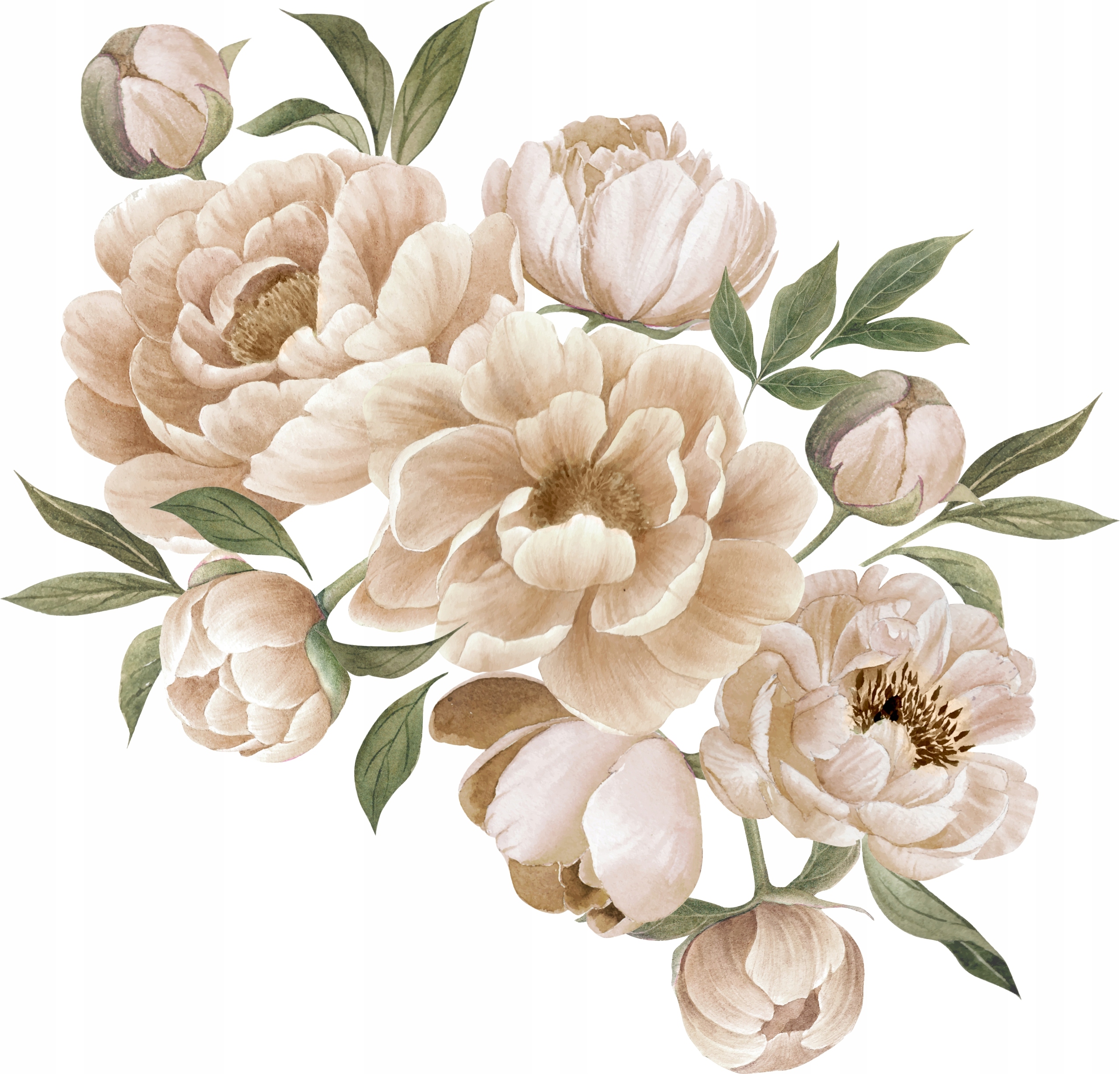 

Naklejki na ścianę Kwiaty Piwonie Peonie Beżowe