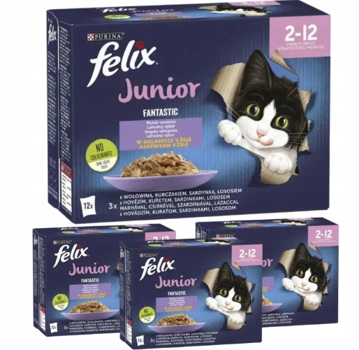 Levně Purina Felix Junior krmivo pro koťata mix chutí 48x85 g