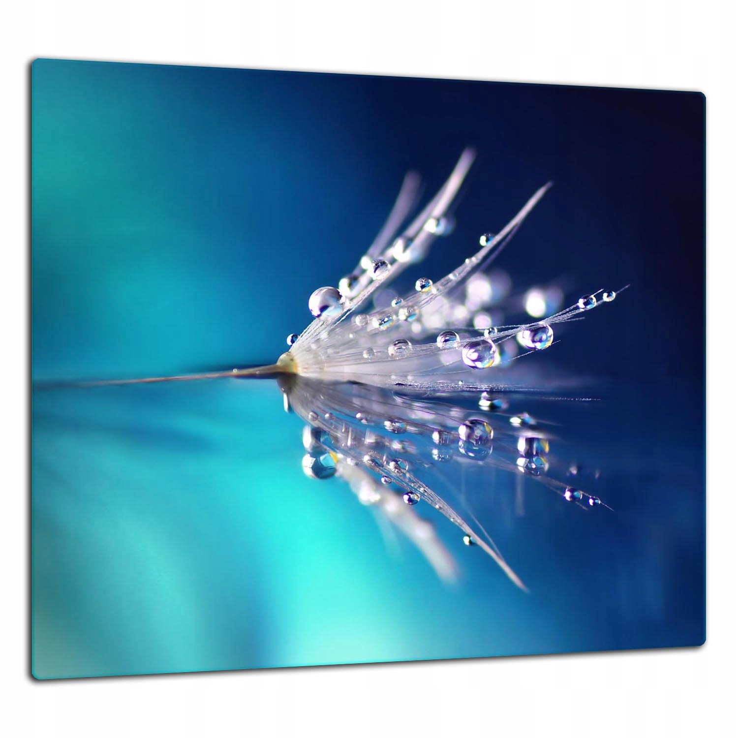 Skleněná Ochranná Deska Panel Lepidlo 65x60 Květina Tvrzené sklo 7v1