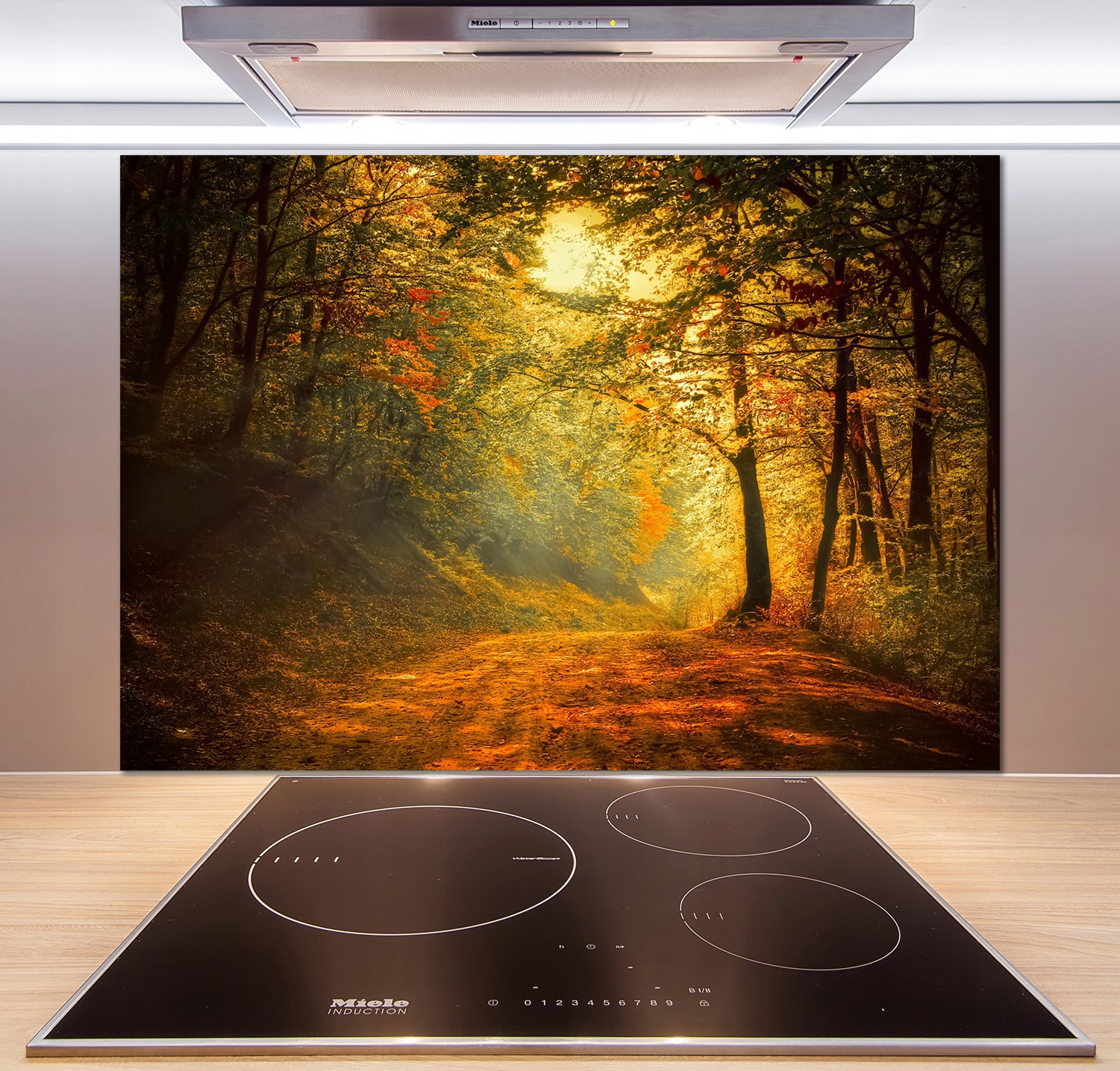 

Panel dekor szkło Las jesienią 100x70 cm + Klej