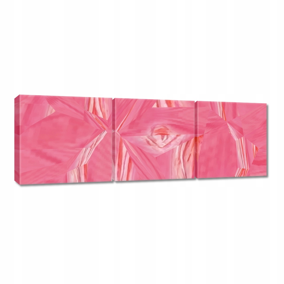 

Obrazy 60x20 Abstrakcja Emmanuelle Róż