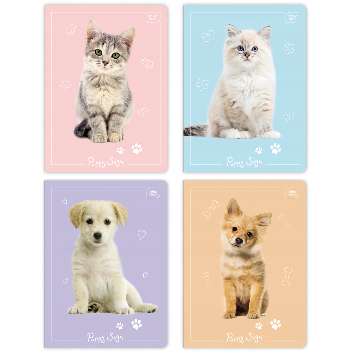 Zeszyt w kratkę A5 Interdruk 16 kartek (5905215207099) • Cena