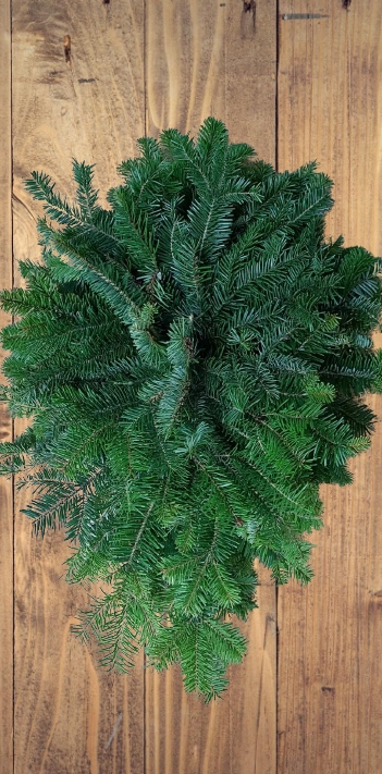 

Podkład pod stroik na florecie z żywej jedliny