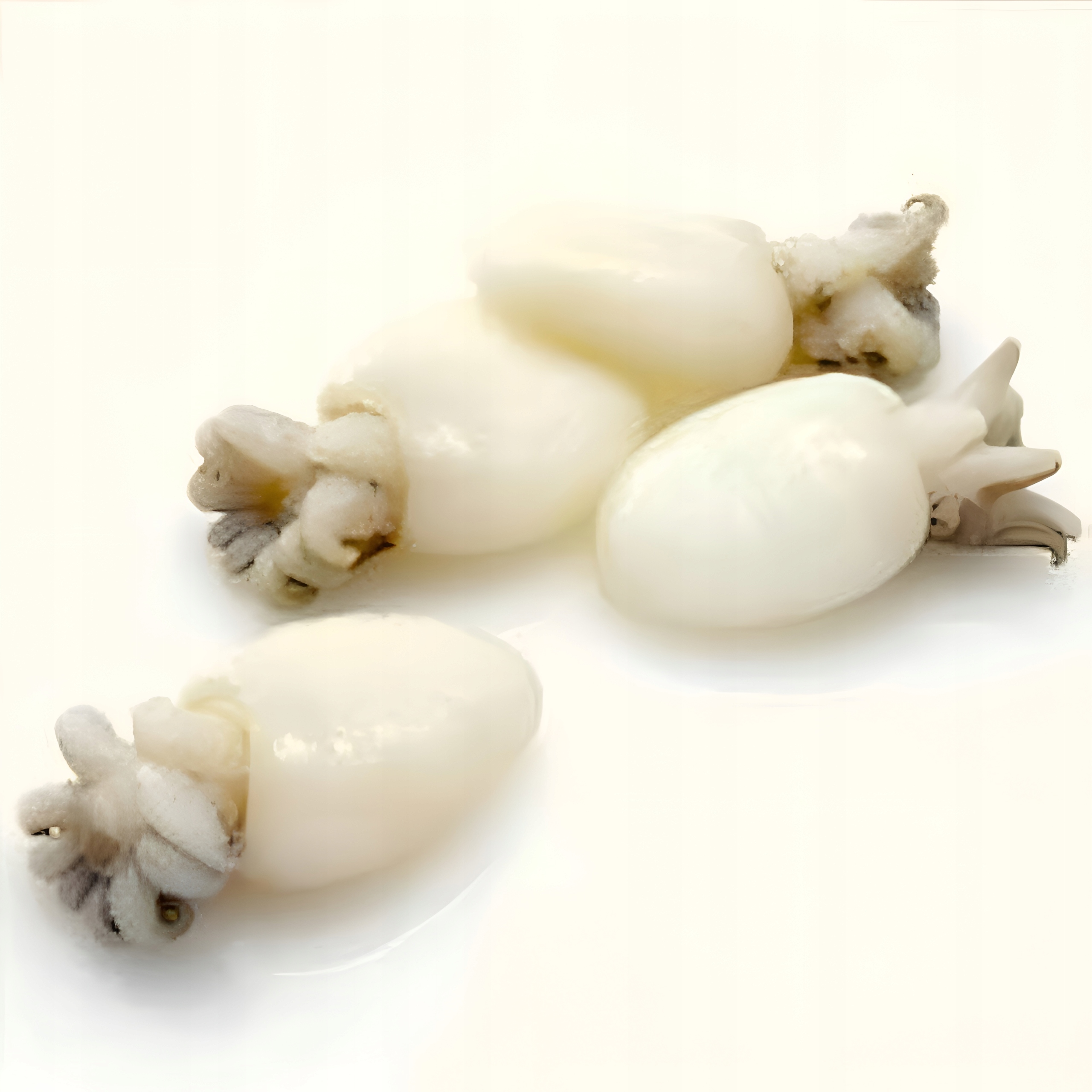 Kalmary Baby 40/60 mrożone Bardzo Delikatne 2/1,6 kg