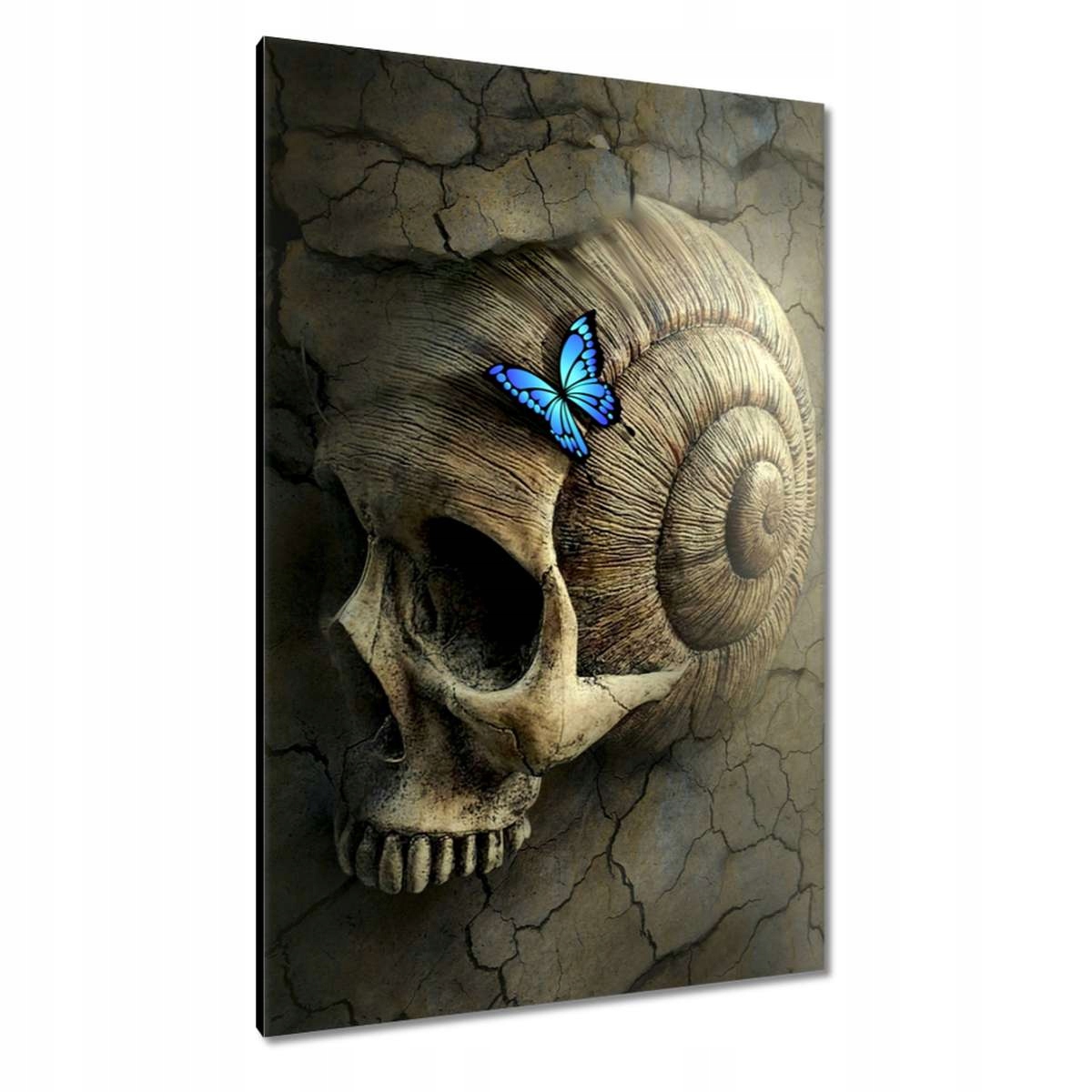 Obrazy 80x120 Motýlek Lebka Světle Modrá