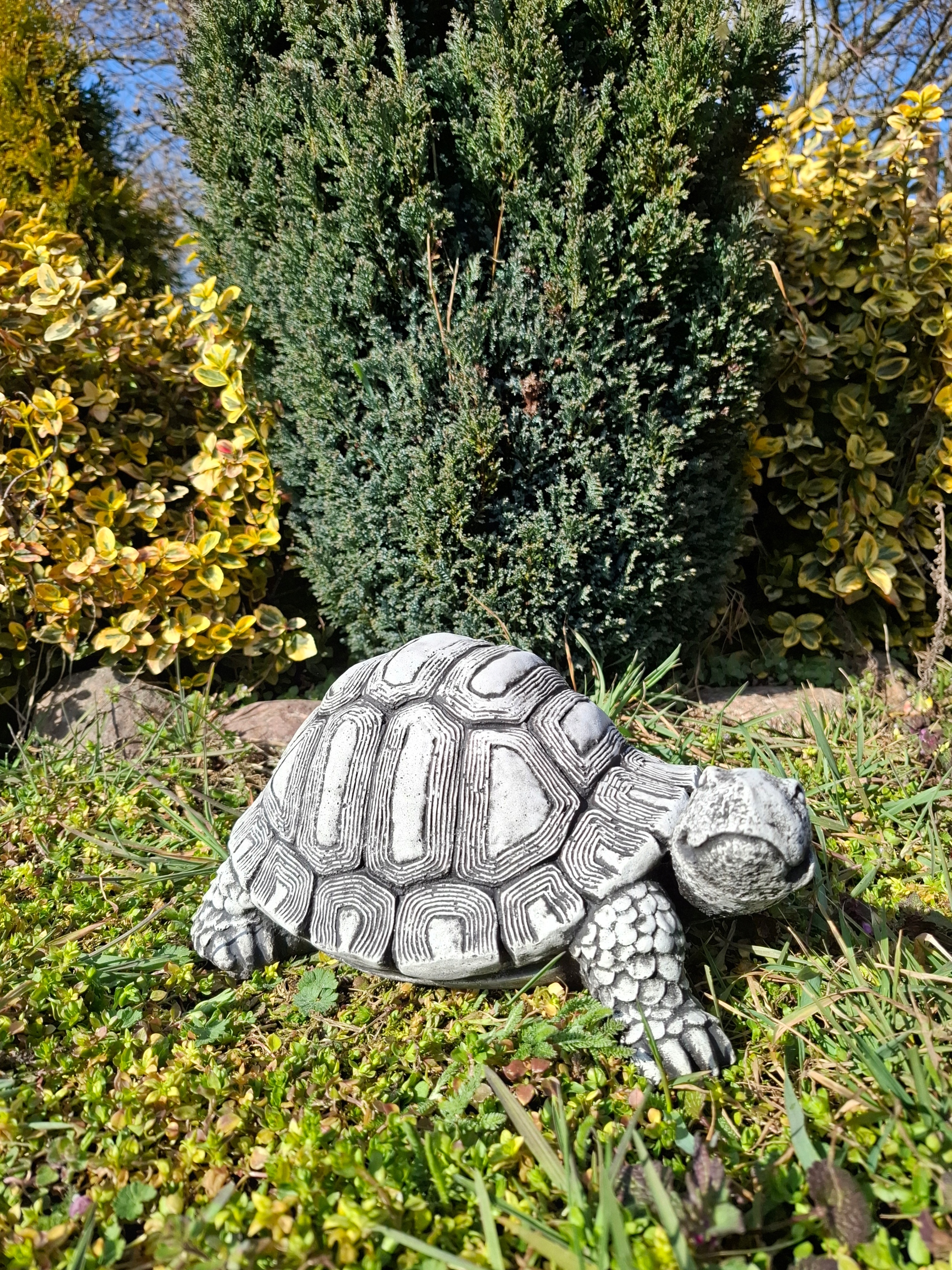 Betonová figurka Želva zahradní figurky socha zvířat