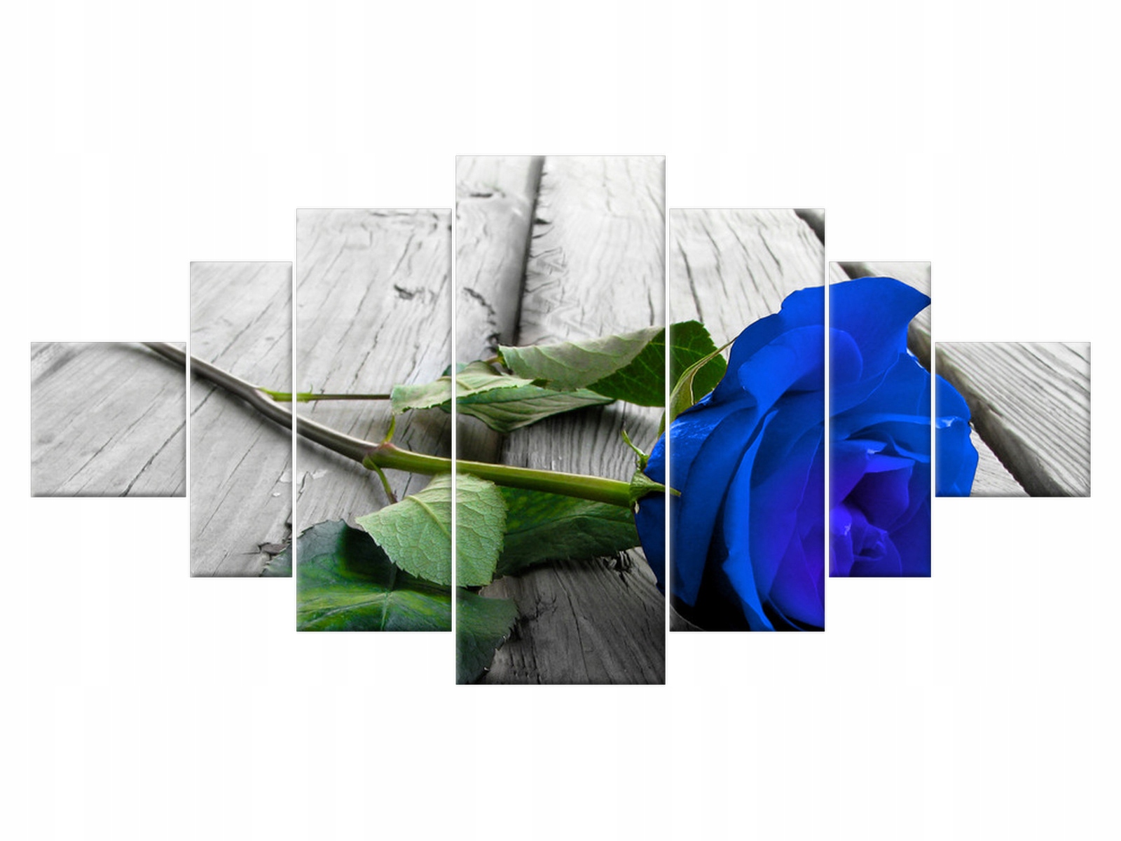 

Obraz 200x100 Kwiaty Bławatkowa róża 7 elementowy