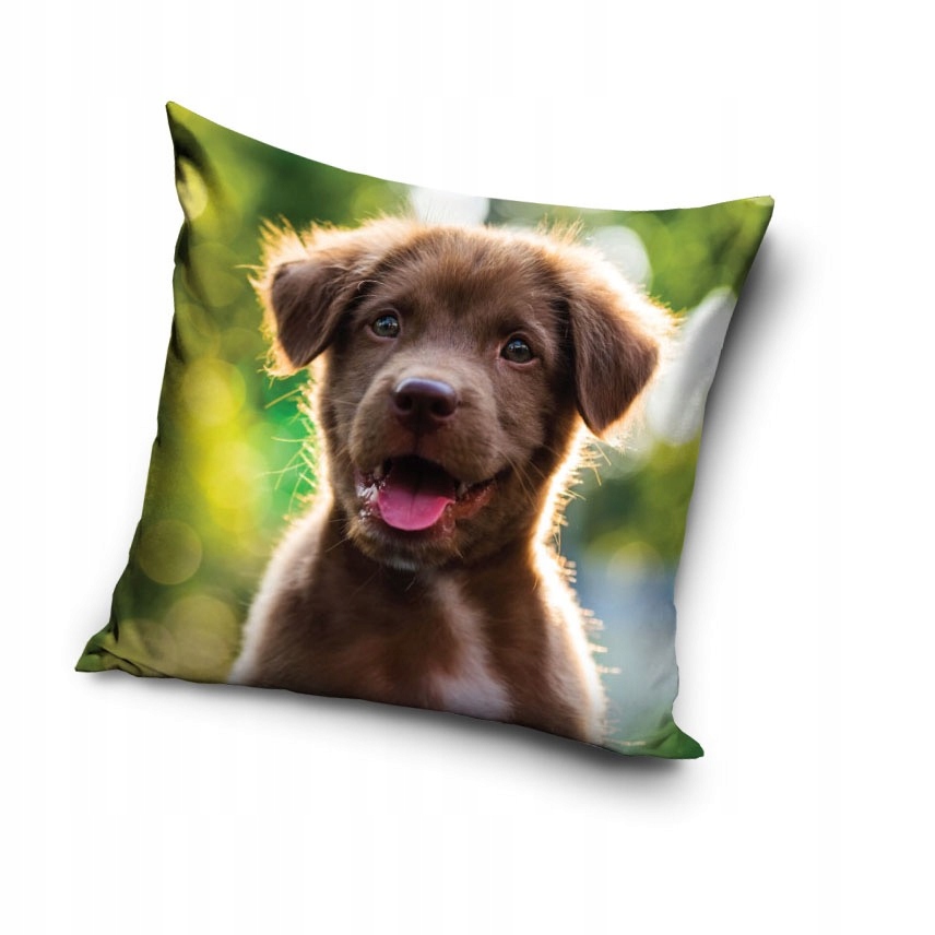 Poszewka na poduszkę velvet welurowa jaśka jasiek Pies piesek psy 40x40