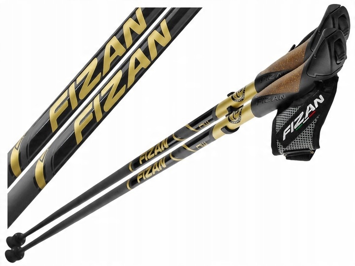 

Kije Nordic Walking Fizan Runner Gold Carbon 110