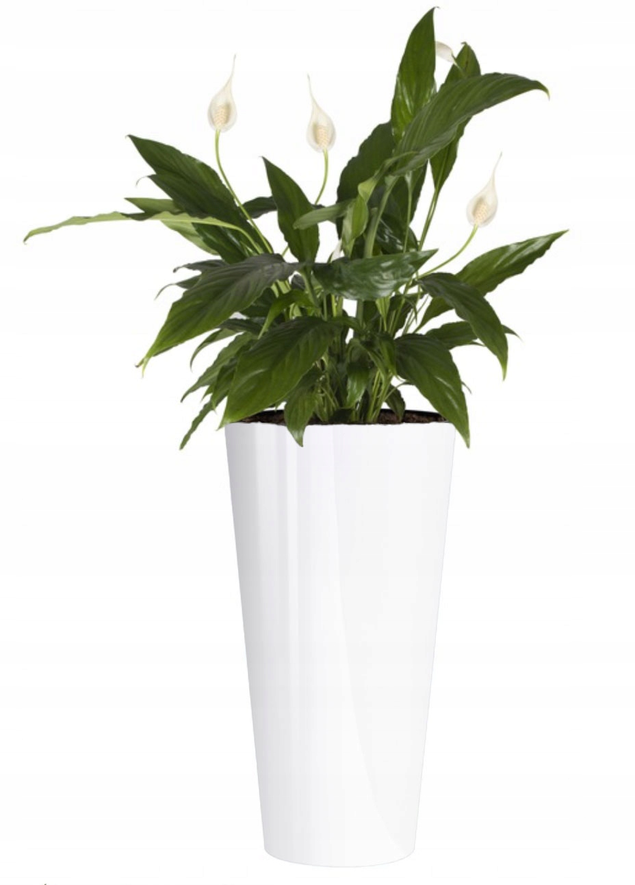 DONICA OGRODOWA + SYSTEM NAWADNIAJĄCY PROSPERPLAST DONICZKA BALKONOWA TARAS Marka Prosperplast