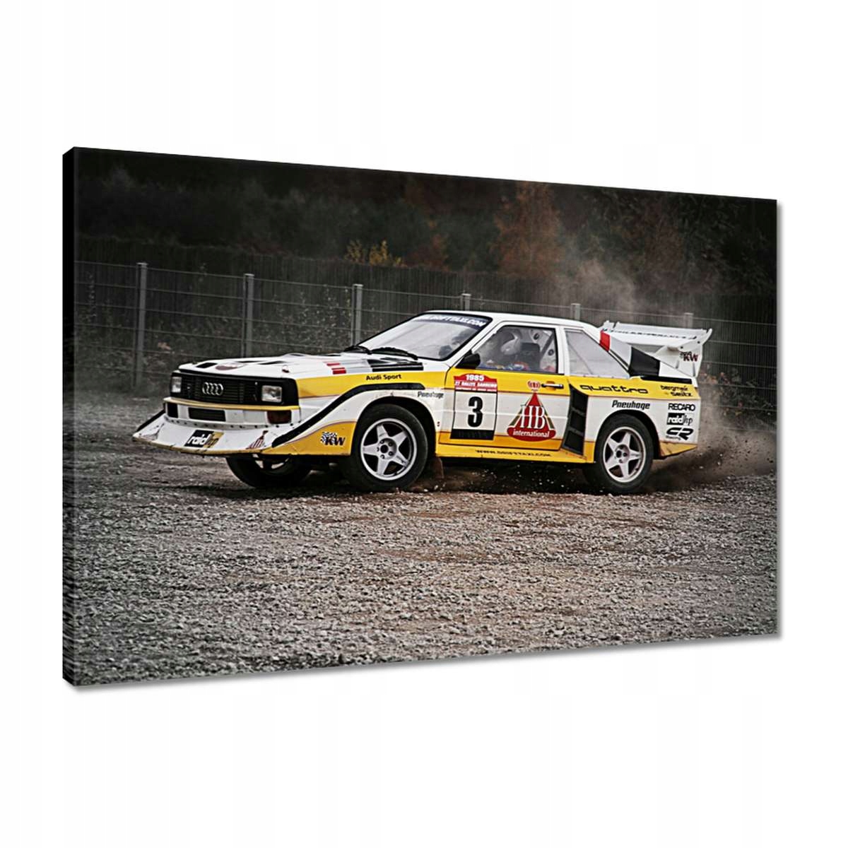 

Obrazy 60x40 Audi Quattro Drift bokiem