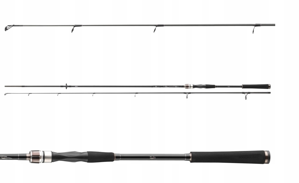 Daiwa Exceler Spin Sea Trout 3,10m 15-40g 11665-310