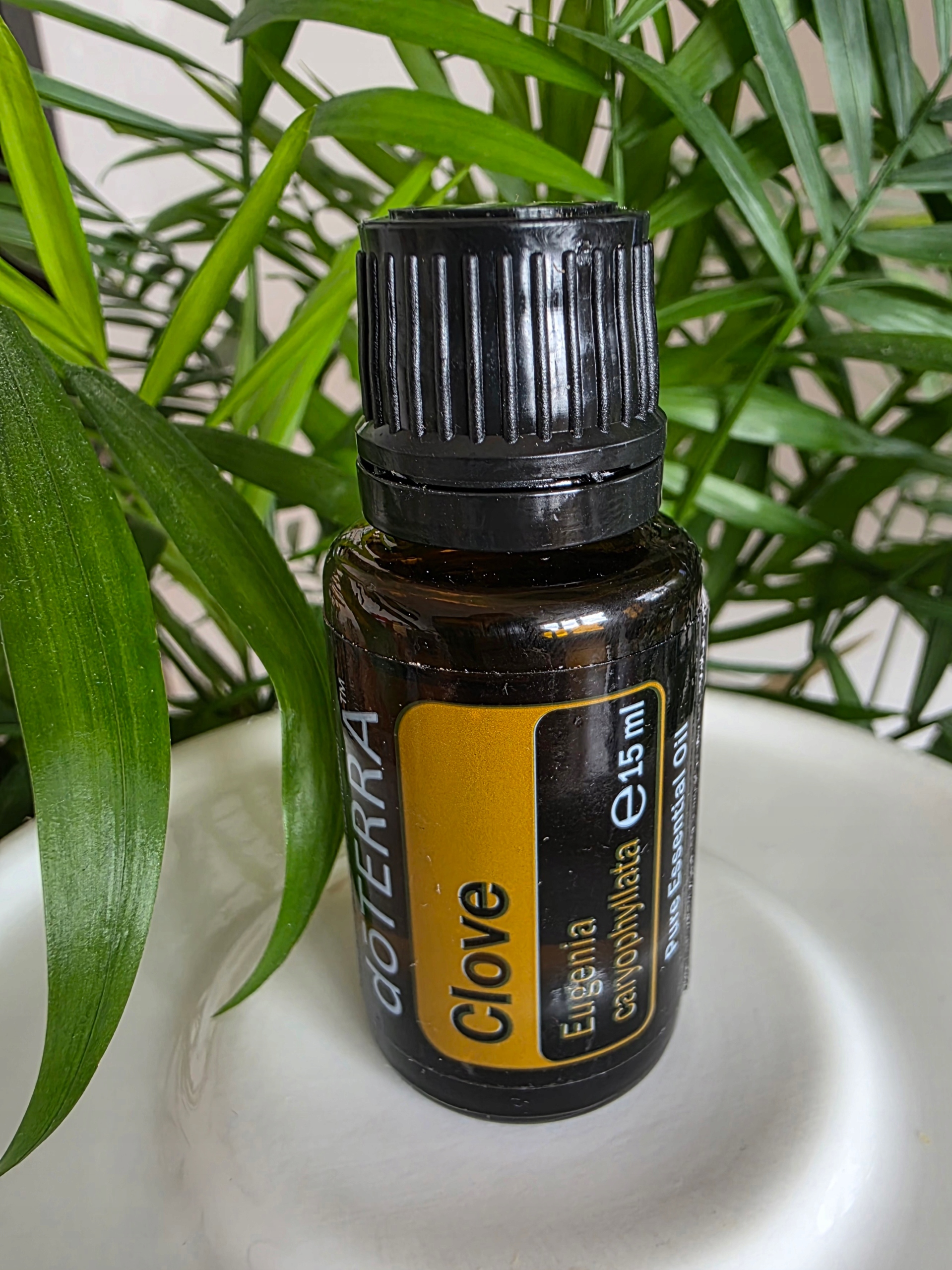 Doterra Olejek Eteryczny Clove 15ML