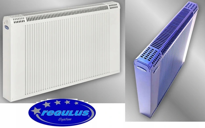 Grzejnik REGULLUS R6/100 RAL Zasilanie boczne Kod producenta R6/100