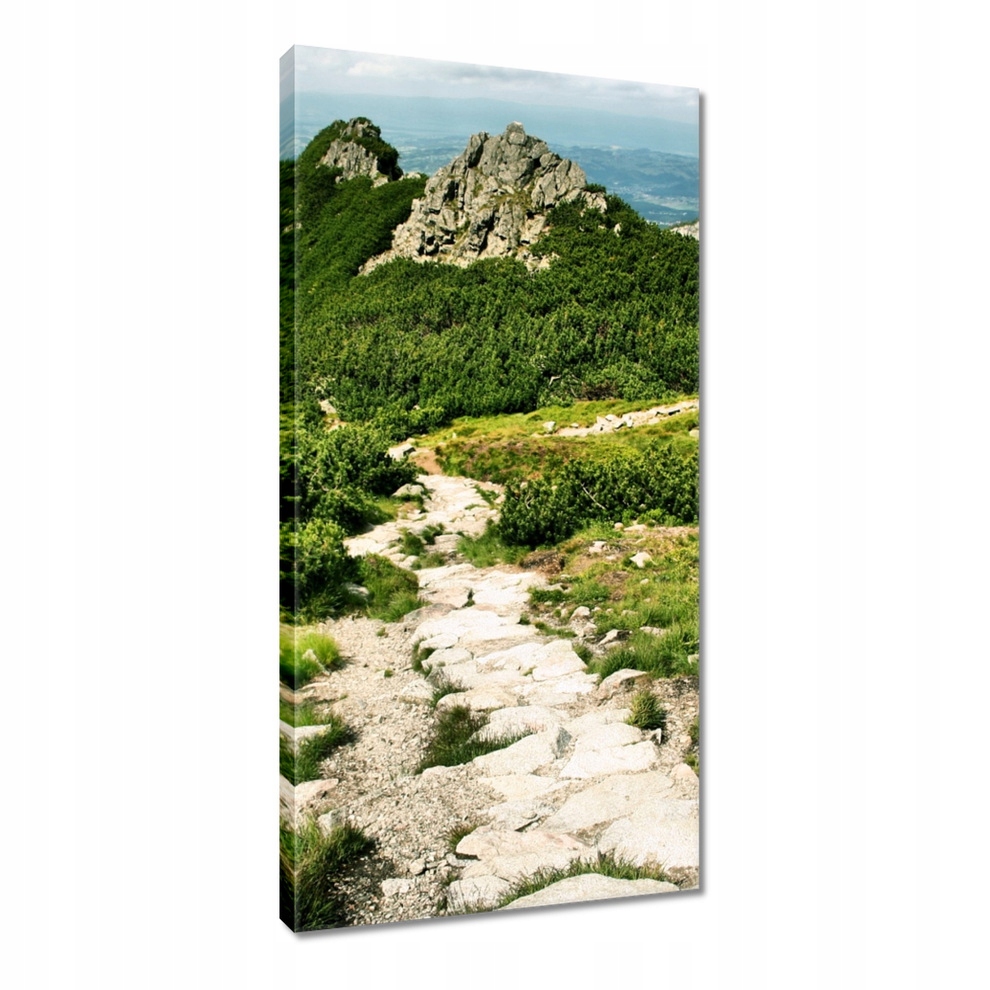 Obraz 55x115 Hory Tatry