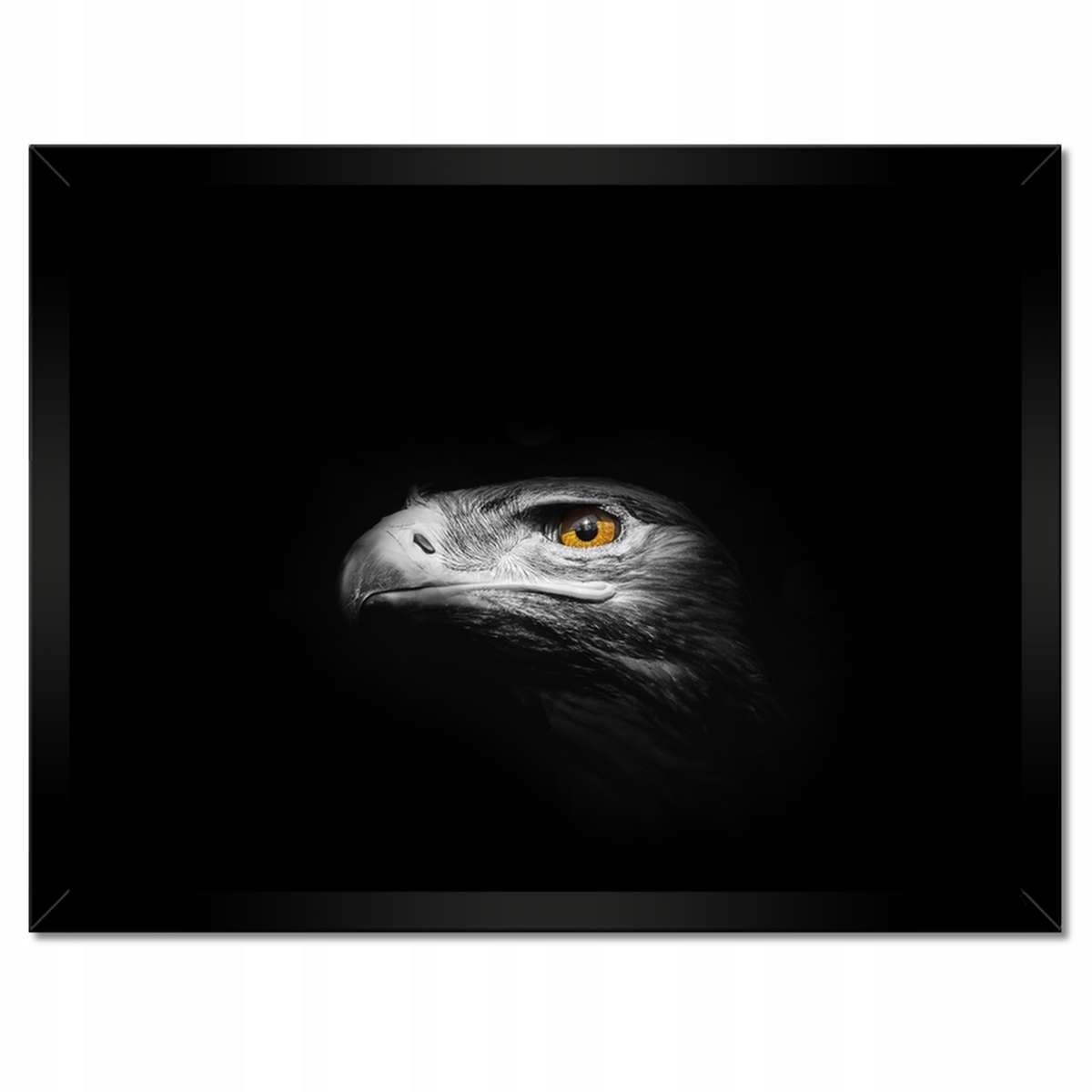 Plakáty v rámu 40x30 Připoutaný útok Orel