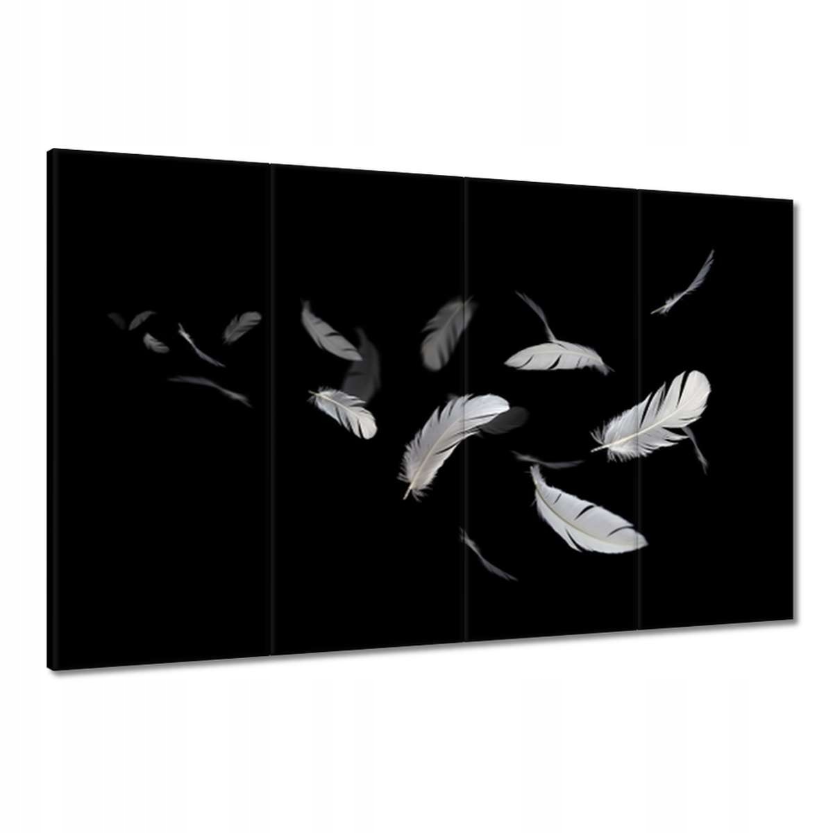 Obrazy 120x80 Létající ptačí peří