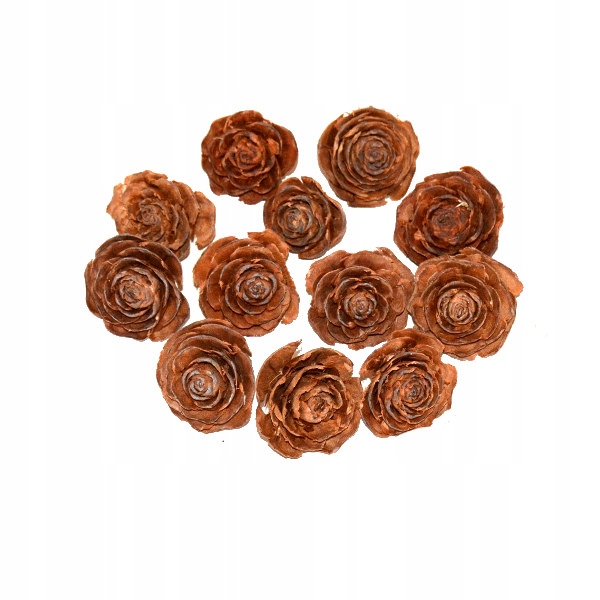 

Róża cedrowa Cedar Rose Kwiat Suszony 24szt Eko