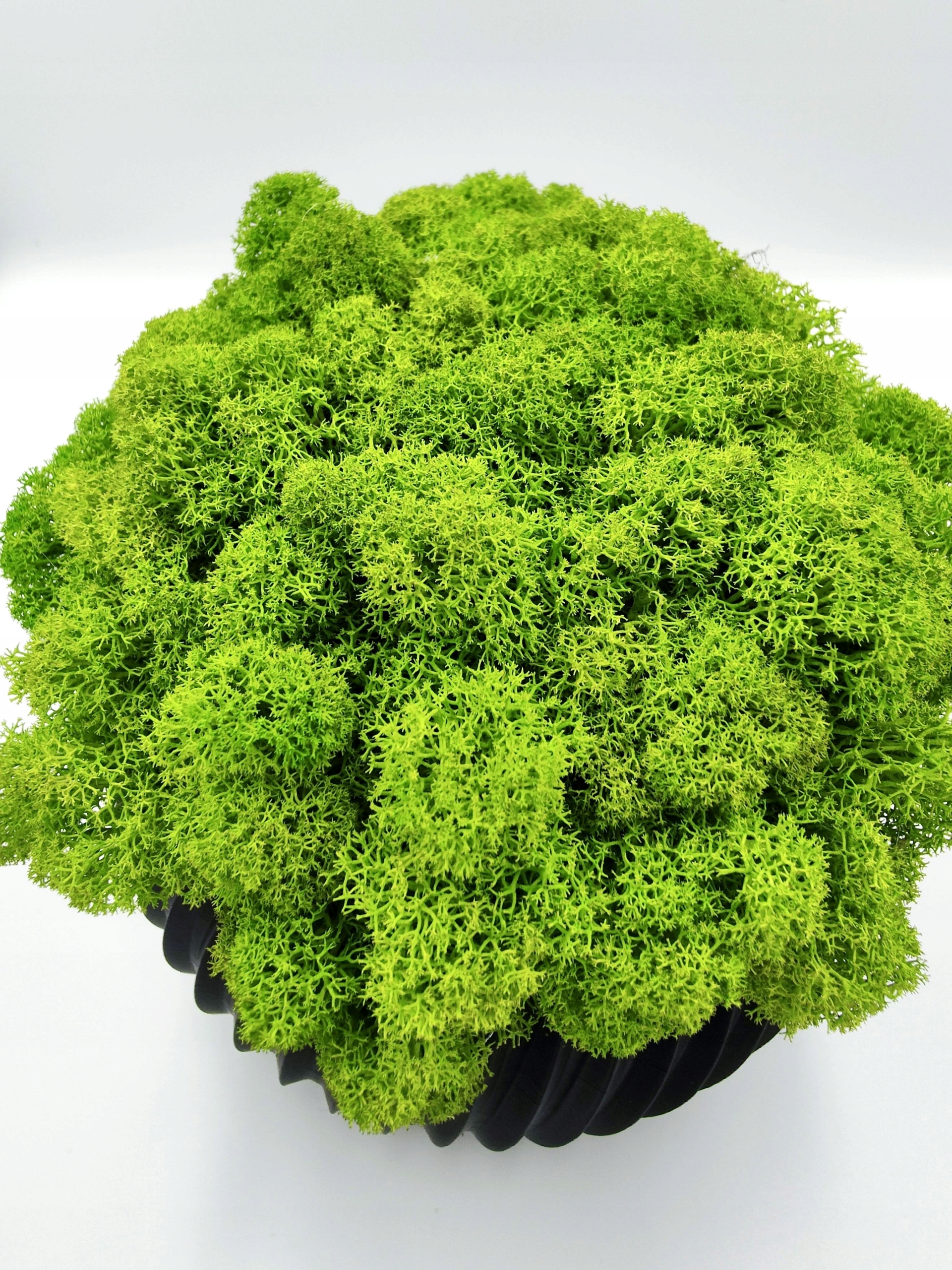 Doniczka z mchem chrobotkiem 21cm MECH CHROBOTEK w doniczce czarna druk 3d Forma w doniczce, pojemniku