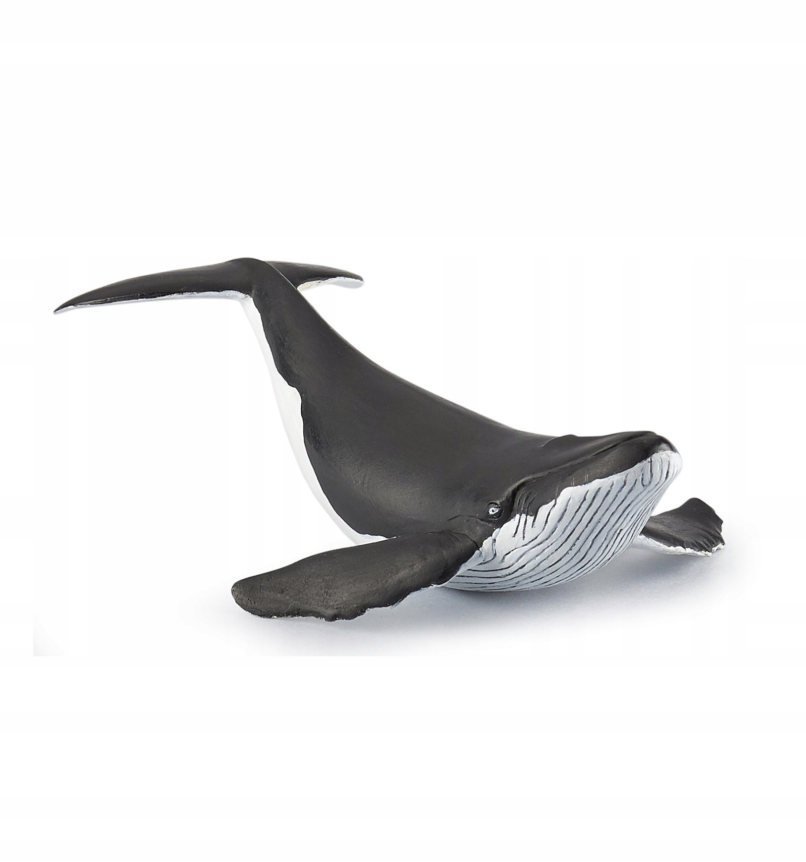 

Humbak Młody - Whale calf - Papo - 56035