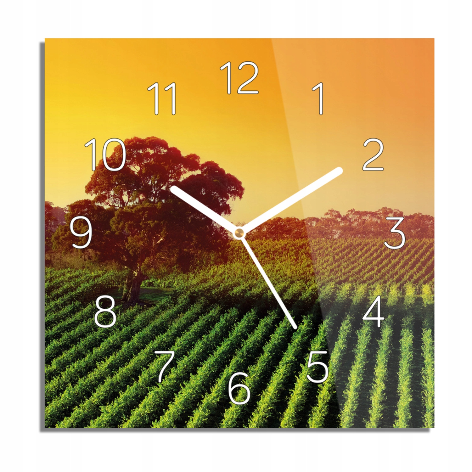 

Winnica Australia zegar na szkle na ścianę 30x30