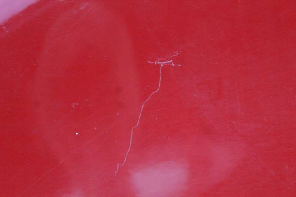 fender left front MITSUBISHI COLT VI 21D