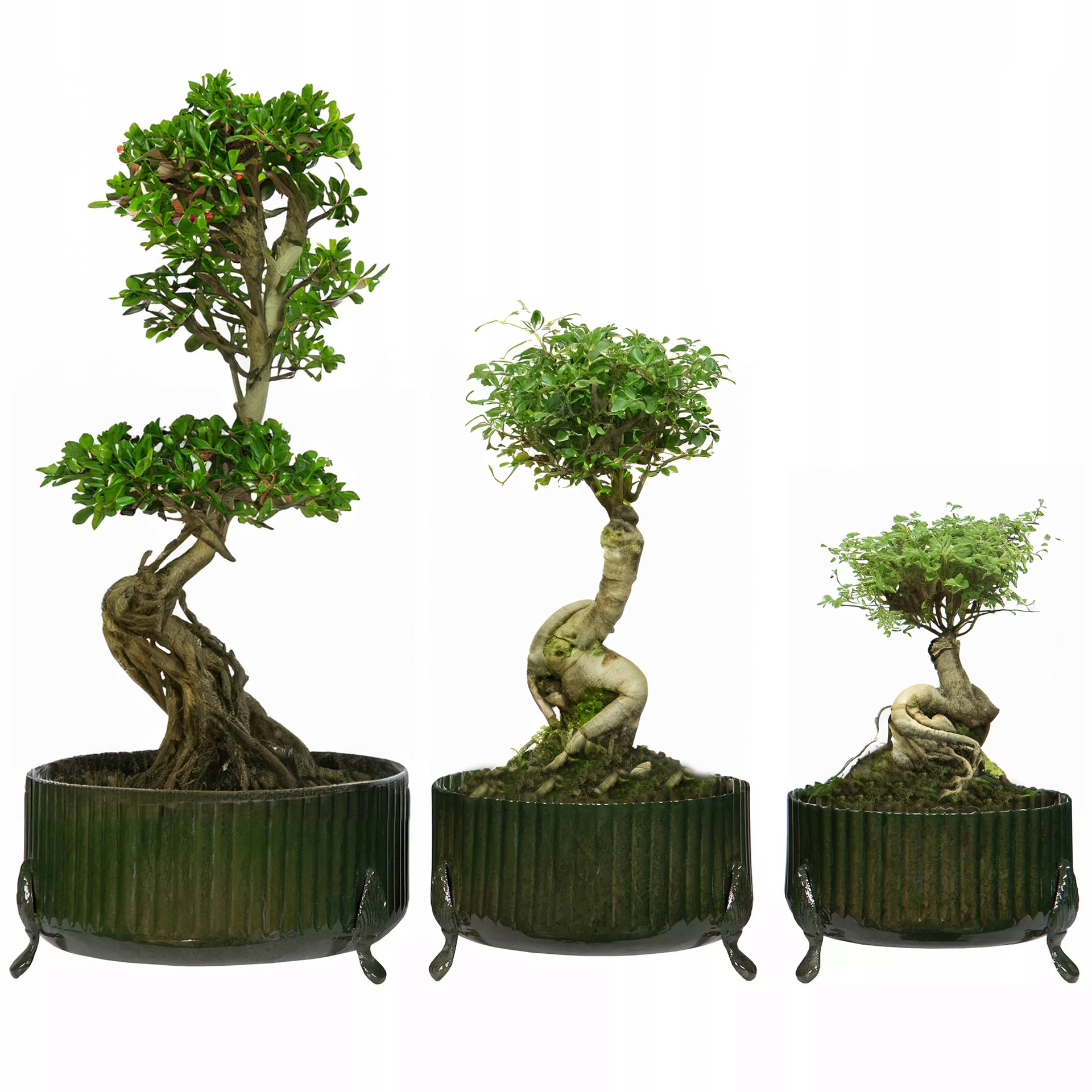 Kvetináč Na Bonsai Veľký 3 ks zelená obal na kvetináč do obývačky škandinávska
