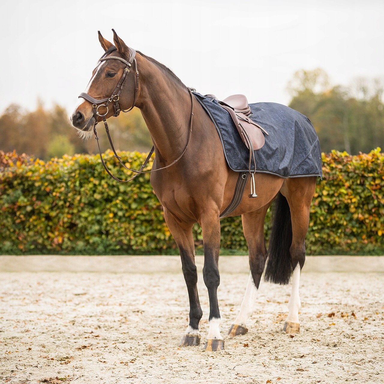 Qhp, Derka treningowa 1200D, Cloud Dancer L