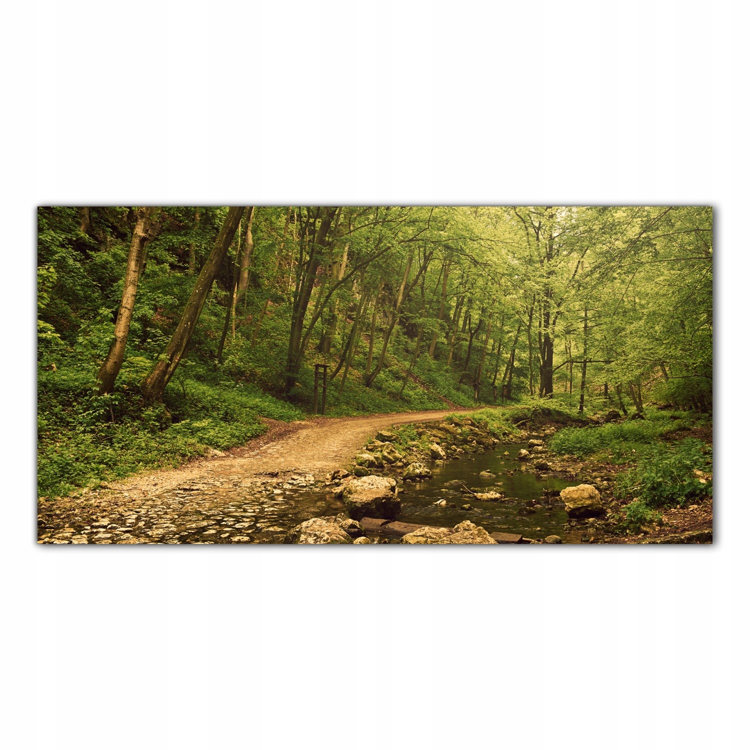 Cesta Les Stromy 120x60 Kuchyně Panel nad pracovní deskou