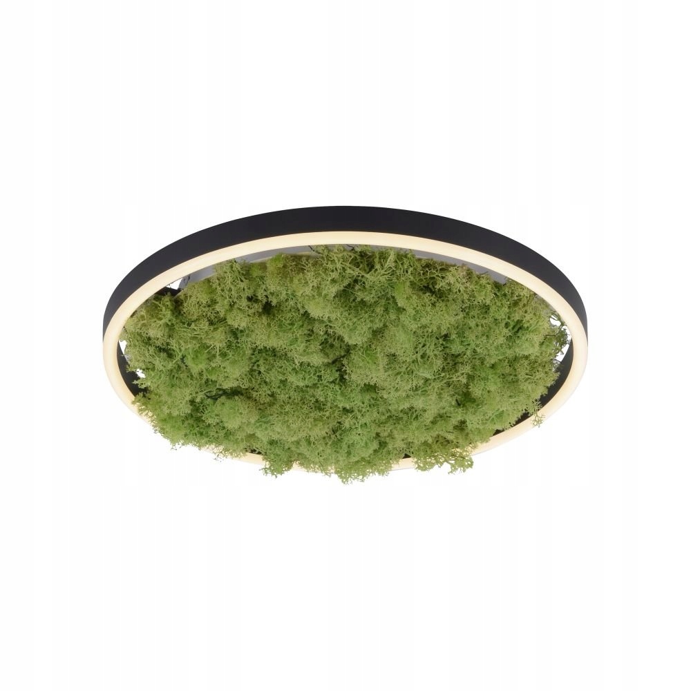 Led stropná lampa 20W Green Ritus 15391-66 LeuchtenDirekt