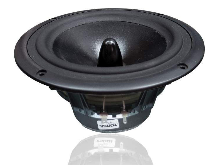 Głośnik Niskotonowy Tonsil Gdn 17/50/6F 4 ohm Basowy Czarny