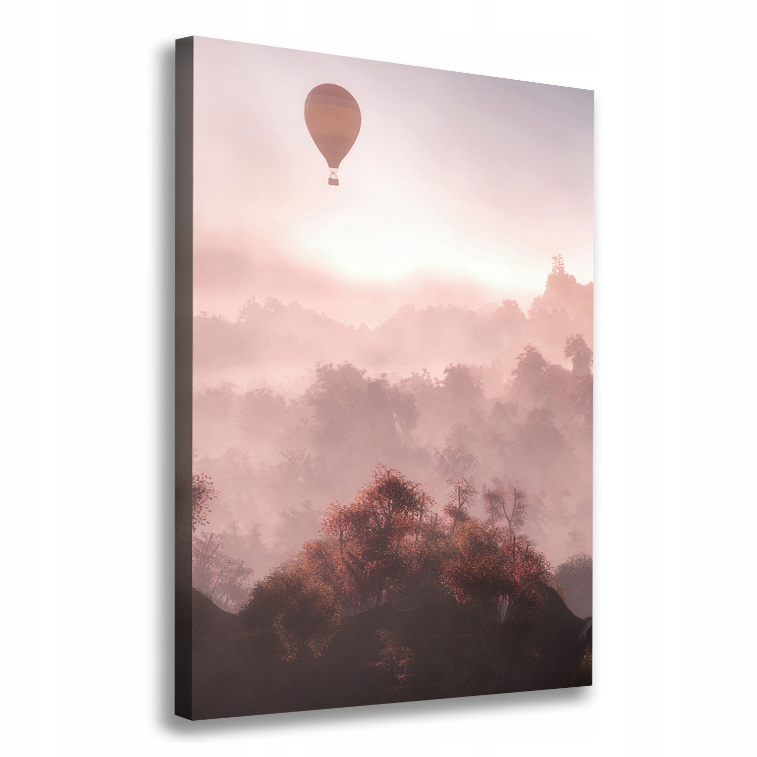 

Foto obraz na płótnie Latający balon las 70x100 cm